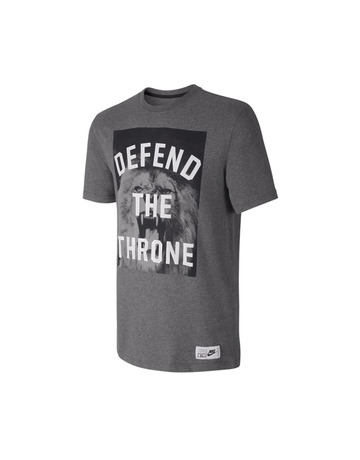 Camiseta Lebron "Defend the Throne" (071/gris)