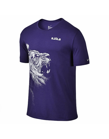 LeBron Camiseta Arch (547/morado/blanco)