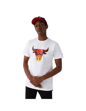 New era NBA Chicago Bulls Summer City Infill