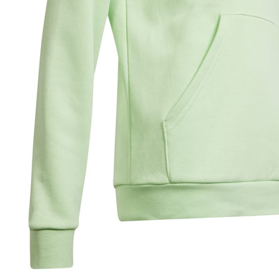 Adidas Junior Big Logo Essentials Cotton Hoodie "Green Mint"