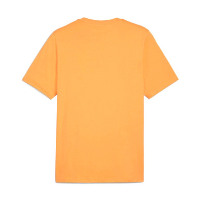 T-shirt Puma GRAPHICS Mountain "Clementine"