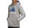 Adidas Essentials Hoodie Fleece Logo 3 strips (grey)