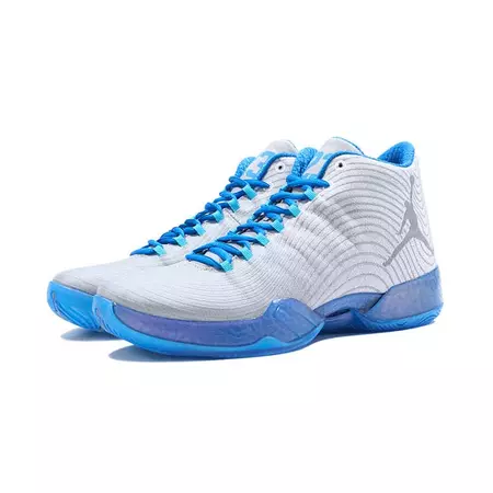 Air Jordan XX9 "Playoff Home" (104/blanco/azul)
