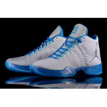 Air Jordan XX9 "Playoff Home" (104/blanco/azul)