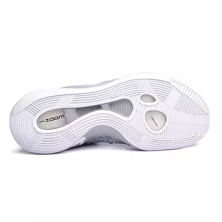 Nike Hyperdunk 2016 Low "Wolf Grey" (010/wolf grey/white/platinum)