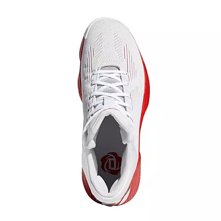Adidas D-Rose 10 "MVP 10-11"
