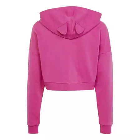 Adidas Girls ARKD3 Crop Hoodie