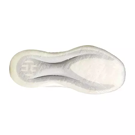 Adidas Harden B/E 2 J "New Season"