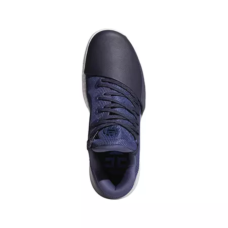 Adidas Harden Vol.1 "Pegasus"