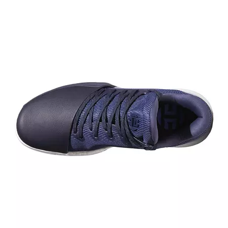 Adidas Harden Vol.1 "Pegasus"