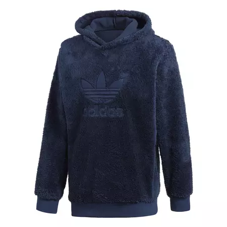 Adidas Originals Winterized P/O Hoodie