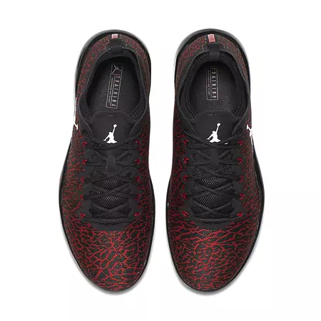 Air Jordan Trainer 1 Low "Banned Jimmy Butler" (001/anthracite/white/black)