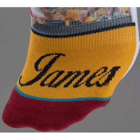 Chaussettes Stance King James Cleveland Cavaliers
