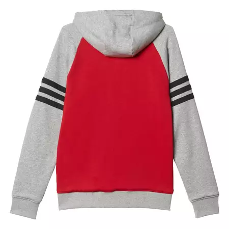 Adidas Chaqueta Bulls Washed Baseball (Rouge/Gris)