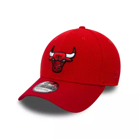 Chicago Bulls Stretch Team Mesh 39THIRTY