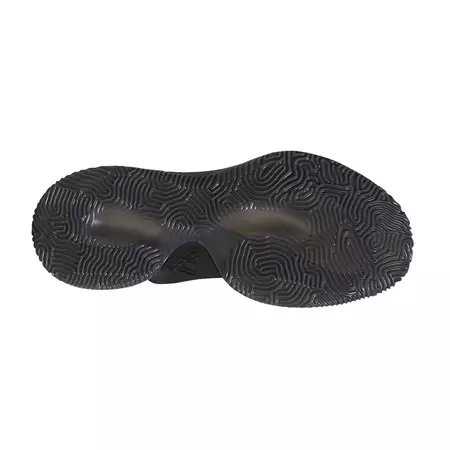 Crazy Explosive 2017 PK Primeknit "Black Carbon"