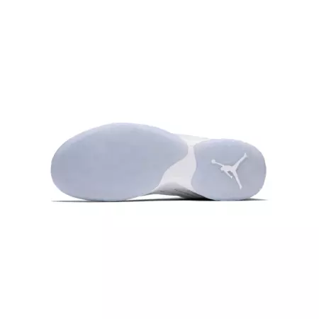 Jordan B. Fly "Frost" (100/white/wolf grey/pure platinum)