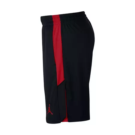 Jordan Dri-FIT 23 Alpha Training Shorts (010)