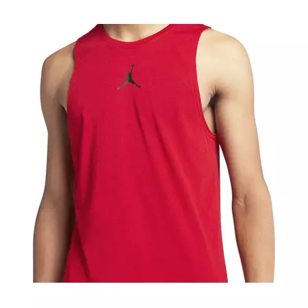 Jordan Dry 23 Alpha Top (687)