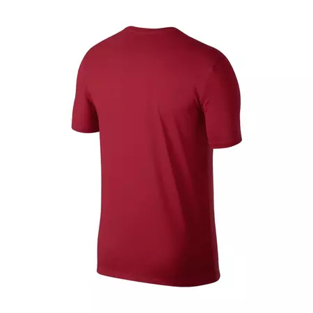 Jordan Dry Flight Photo Basketball T-Shirt (687)