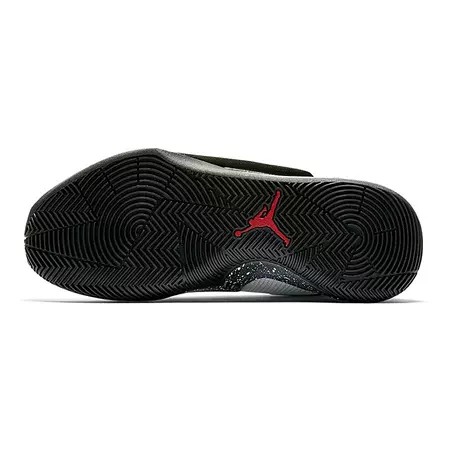 Jordan Fly Lockdown (GS) "Spaceman"