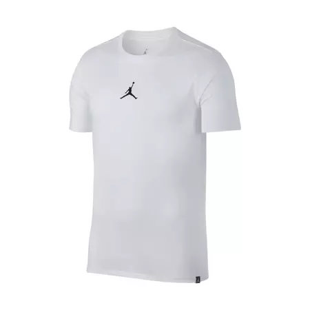 Jordan Future Dri Fit 3 Tee (100)