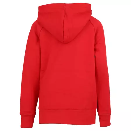 Jordan Kids Jumpman Logo Pullover Hoodie