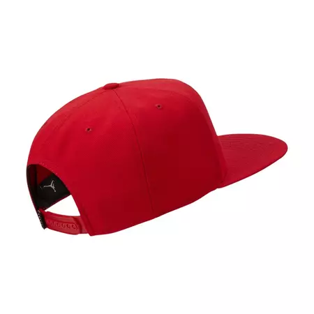 Jordan Pro Jumpman Air Hat (687)