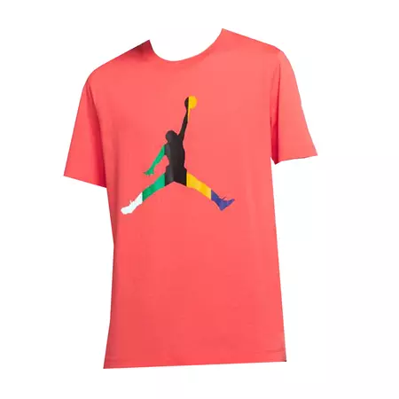 Jordan Sport T-Shirt DNA Jumpman Crew