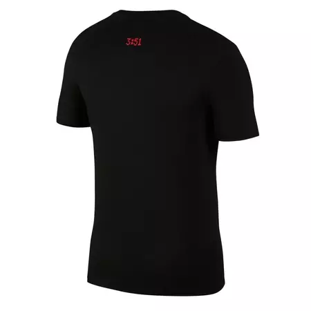 Jordan Sportswear 1988 Dunk T-Shirt (010)