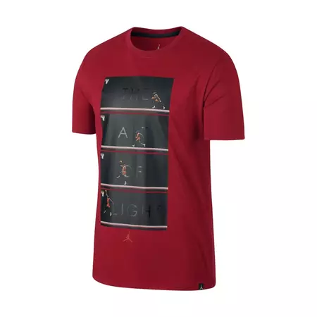 Jordan "The Art of Flight" T-Shirt (687)
