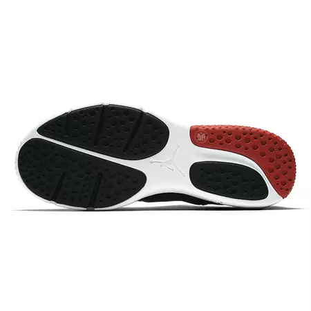 Jordan Trainer Essential "Chicago" (016)