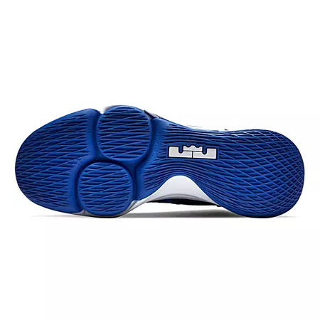 LeBron Witness 4 "Royal Power"