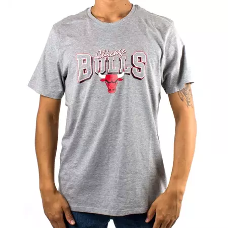 New Era Chicago Bulls Apparel Tee LGH New Era Chicago Bulls Apparel Tee LGH Lavine
