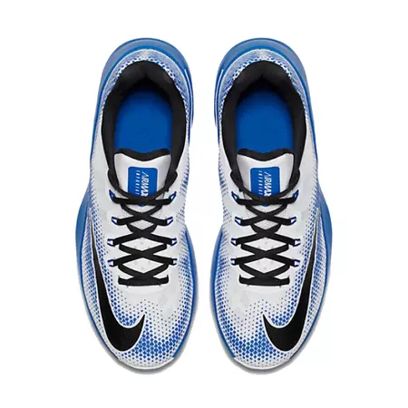 Nike Air Max Infuriate "Givre" (101)