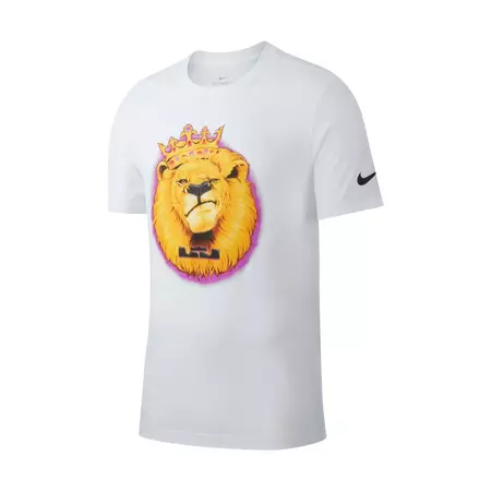 Nike Dri-FIT LeBron T-Shirt