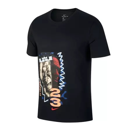 Nike Lebron Lion Dry Tee (010)