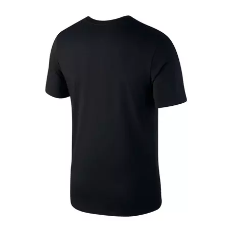 Nike Lebron Lion Dry Tee (010)
