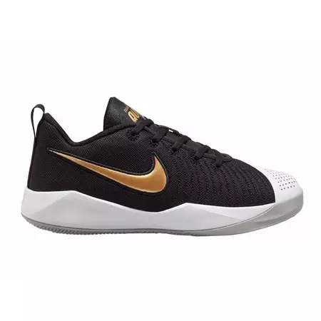 Nike Team Hustle Quick 2 "Black MetallicGold"
