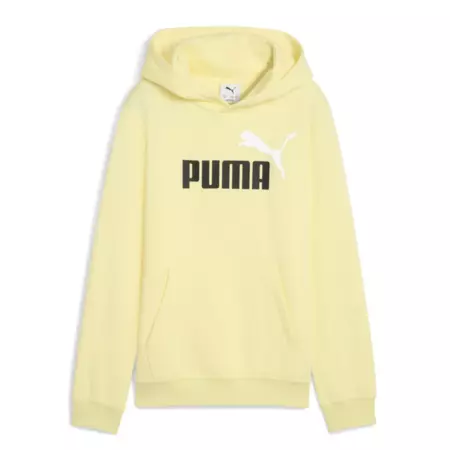 Puma ESS 2 COLOR Logo Hoodie FL "Gold Moon"