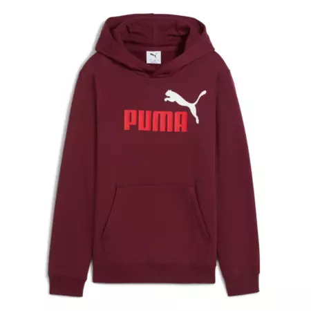Puma ESS 2 COLOR Logo Hoodie FL "Ruby Shimmer"