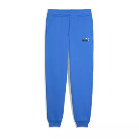 Puma ESS 2 COLOR Logo Sweatpants "Mountain Blue"