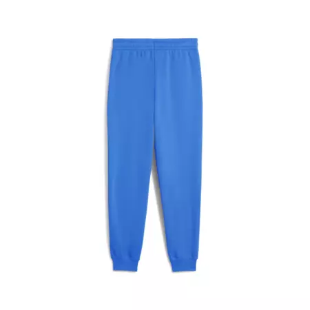 Puma ESS 2 COLOR Logo Sweatpants "Mountain Blue"