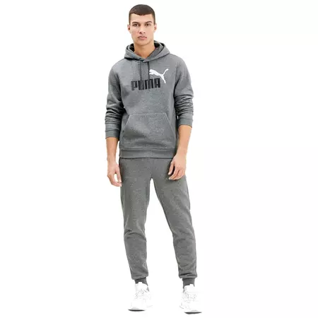 Puma Essentials 2 Col Hoody FL Big Logo