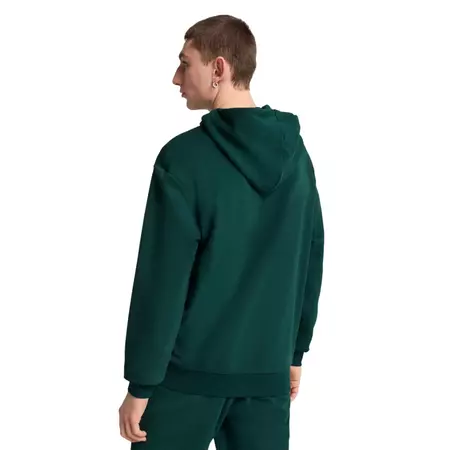 Puma SPORTS LEGACY Graphic Hoodie TR "Dark Myrtle"