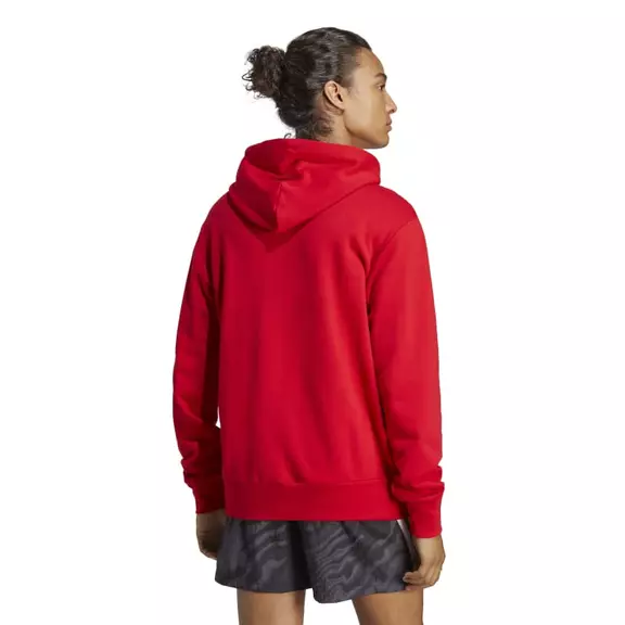 Adidas Essentials French Terry Big Logo Hoodie