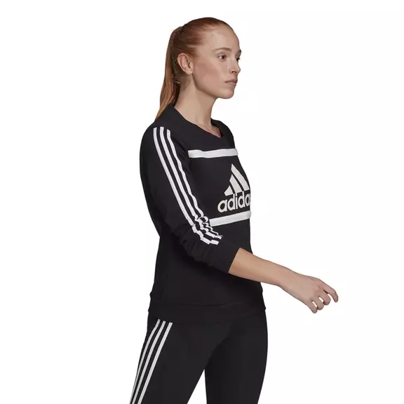 Adidas Essentials Logo Colorblock Sweatshirt