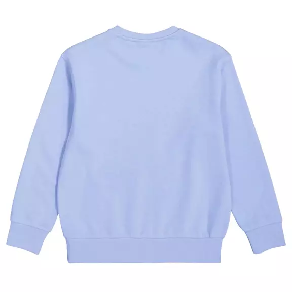 Champion Kids Basketball Flame Logo Crewneck Sweatshirt "Light blue"