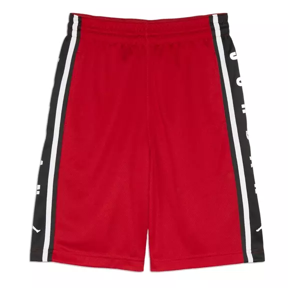 Jordan Kids Air HBR BasketBall Short