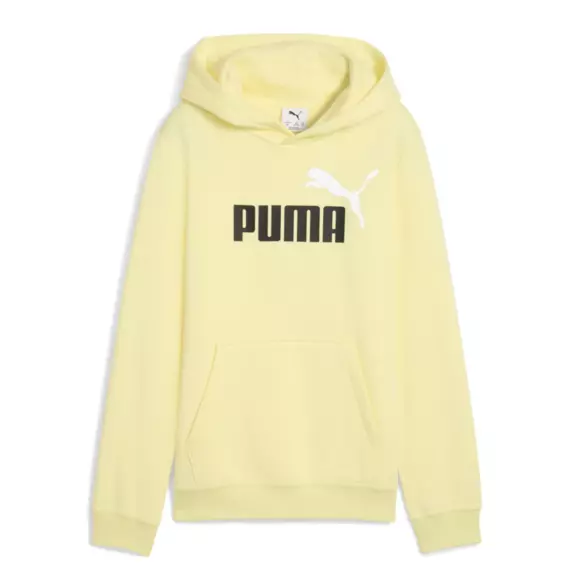 Puma ESS 2 COLOR Logo Hoodie FL "Gold Moon"